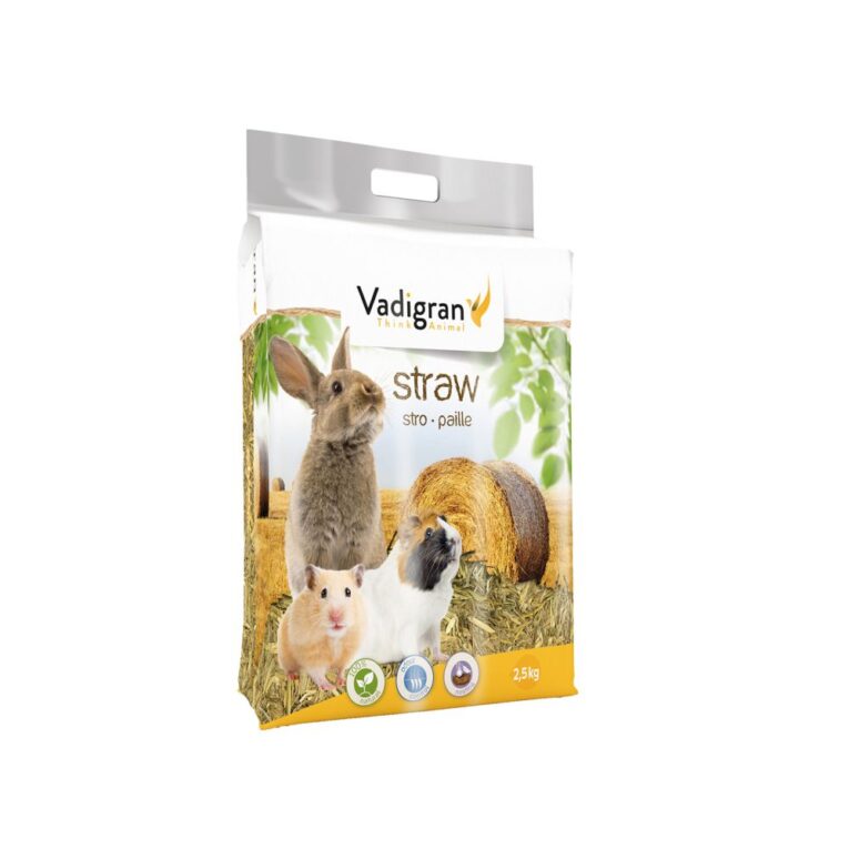 f55f99a4-7402-11ea-bebb-00505697ce7a_5411468041903