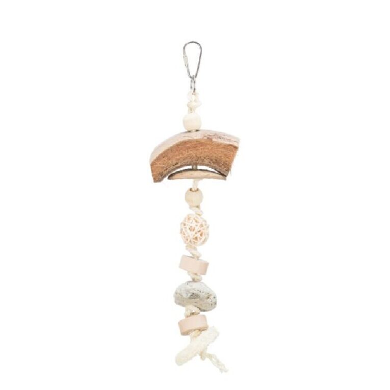 Φυσικό παιχνίδι πτηνών