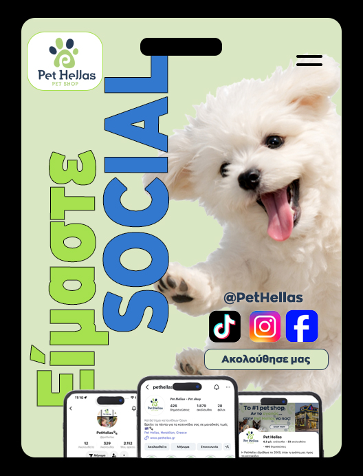 0-02-05-8Aa0085F6C89315Cc60363D8343239037726Be7Eea93E8Ec4B14663B8A539903_9D7E9Da6B48572B9