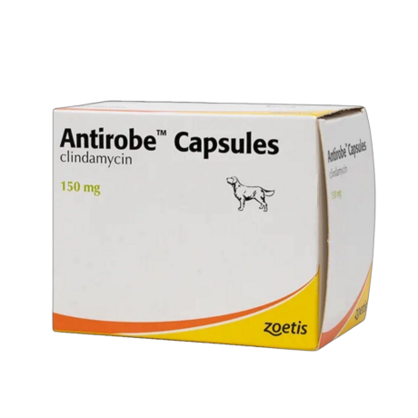 Antirobe για Μολυσμένα Τραύματα, Αποστημάτων & Λοιμώξεων του Στόματος & Δοντιών για Σκύλους & Γάτες 150mg 16 Κάψουλες