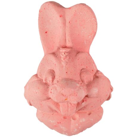 Flamingo Πέτρα Ασβεστίου Τρωκτικών σε Σχήμα Κουνελιού 80gr