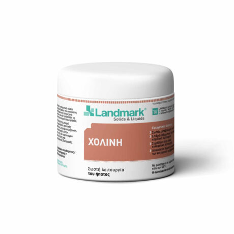 Landmark Χολίνη 500gr