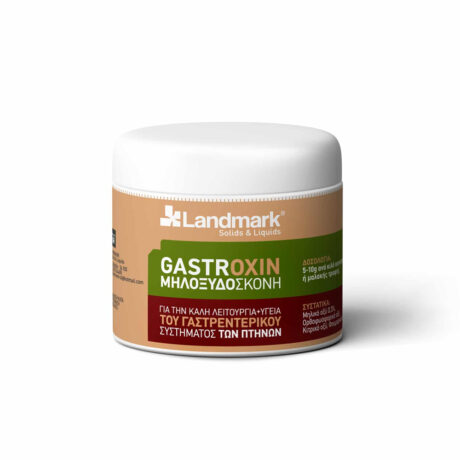 Landmark Gastroxin Μυλοξυδόσκονη 10gr