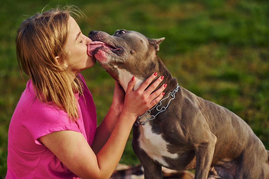 Why Dogs Engage In Excessive Licking