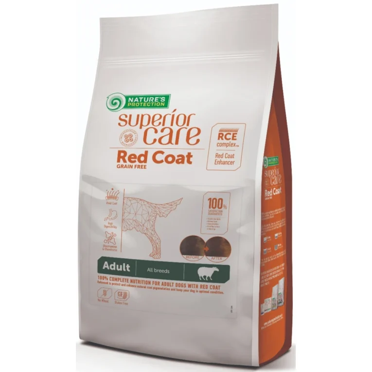 adult all breed lamb-1000x1000h