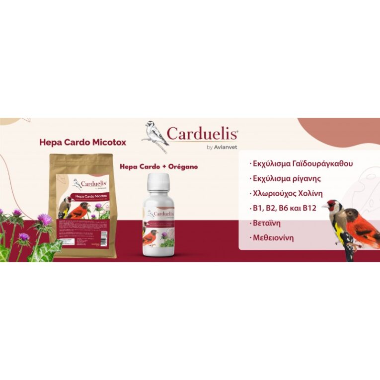 cabecera fb_PRESENTACION HEPATO CARDO-01-800x800