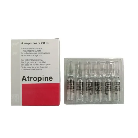 Atropine Αντιαρρυθμικό, Σπασμολυτικό Προαναισθητικό & Αντίδοτο σε Δηλητηριάσεις για Σκύλους & Γάτες  2ml 1x6 Αμπούλες